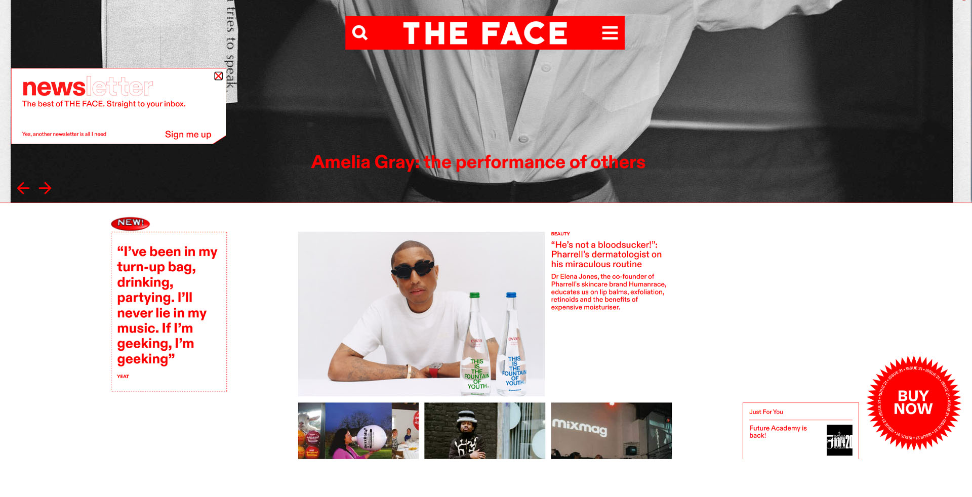 Brutalism The Face
